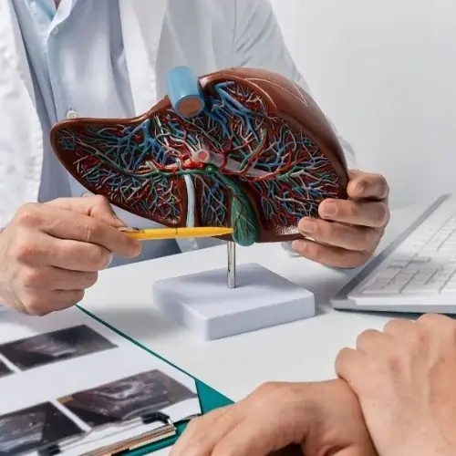 Coordinate ongoing liver or oncology care